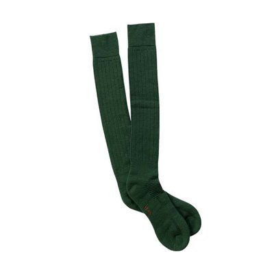 Шкарпетки Chevalier Over Knee 37/38 зелений [1341.14.15] 106300 фото