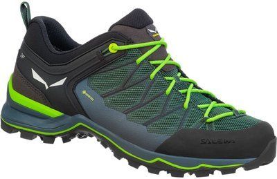 Кросівки Salewa Ms Mtn Trainer Lite GTX 61361 013.001.4422 43 Зелені (4053866154673) 105763 фото