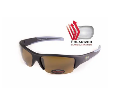 Темные очки с поляризацией BluWater Daytona-2 polarized (brown) (4ДЕЙТ2-50П) 108078 фото
