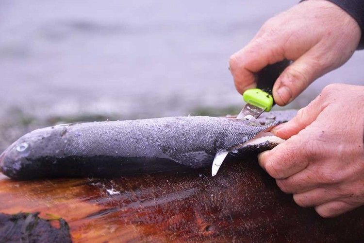 ніж Mora Fishing Comfort, нержавіюча сталь, 11892 3457 фото