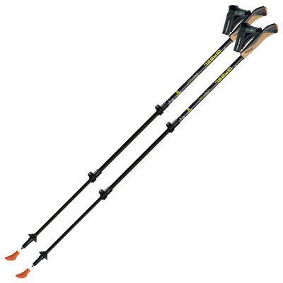 Палки для скандинавской ходьбы Gabel Carbon XT 3S-100 (7008351420000) DAS301113 фото