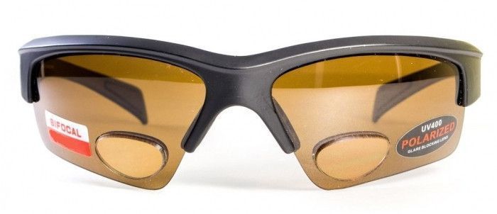 Бифокальные поляризационные очки BluWater Bifocal-2 (+2.5) Polarized (brown) коричневые 4БИФ2-50П25 фото