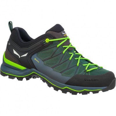 Чоловічі кросівки Salewa MS MTN TRAINER LITE GTX 44 Green-Grey (013.001.4423) 92498 фото