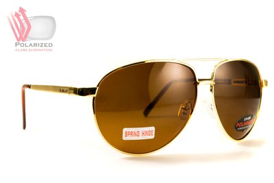 Темні окуляри з поляризацією BluWater Airforce (brown) (gold metal) Polarized (4ЕІРФ-ЗМ50П) 108257 фото
