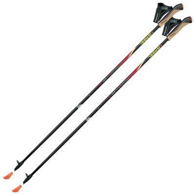 Палки для скандинавской ходьбы Gabel FX-75 Snake Carbon 115 (7008351011150) DAS301683 фото