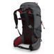 Туристичний рюкзак Osprey Talon Pro 30 Carbon S/M (009.001.0108) 116825 фото 2