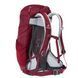 Рюкзак Deuter AC Lite 14 SL колір 5026 maron 3420016 5026 88911 фото 2